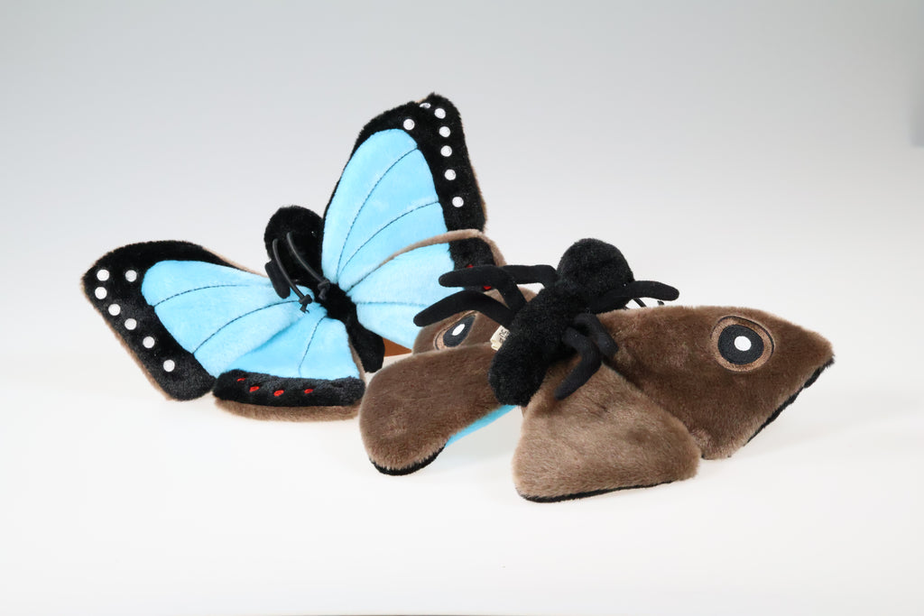 Morpho Sommerfuglebamse