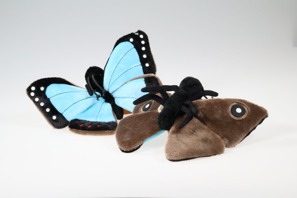 Morpho Sommerfuglebamse