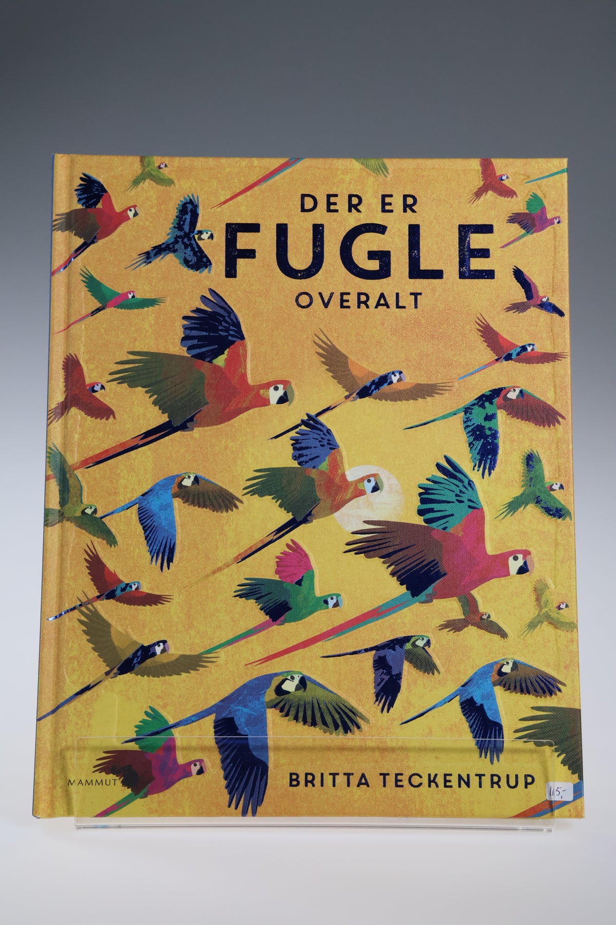 Der er fugle overalt