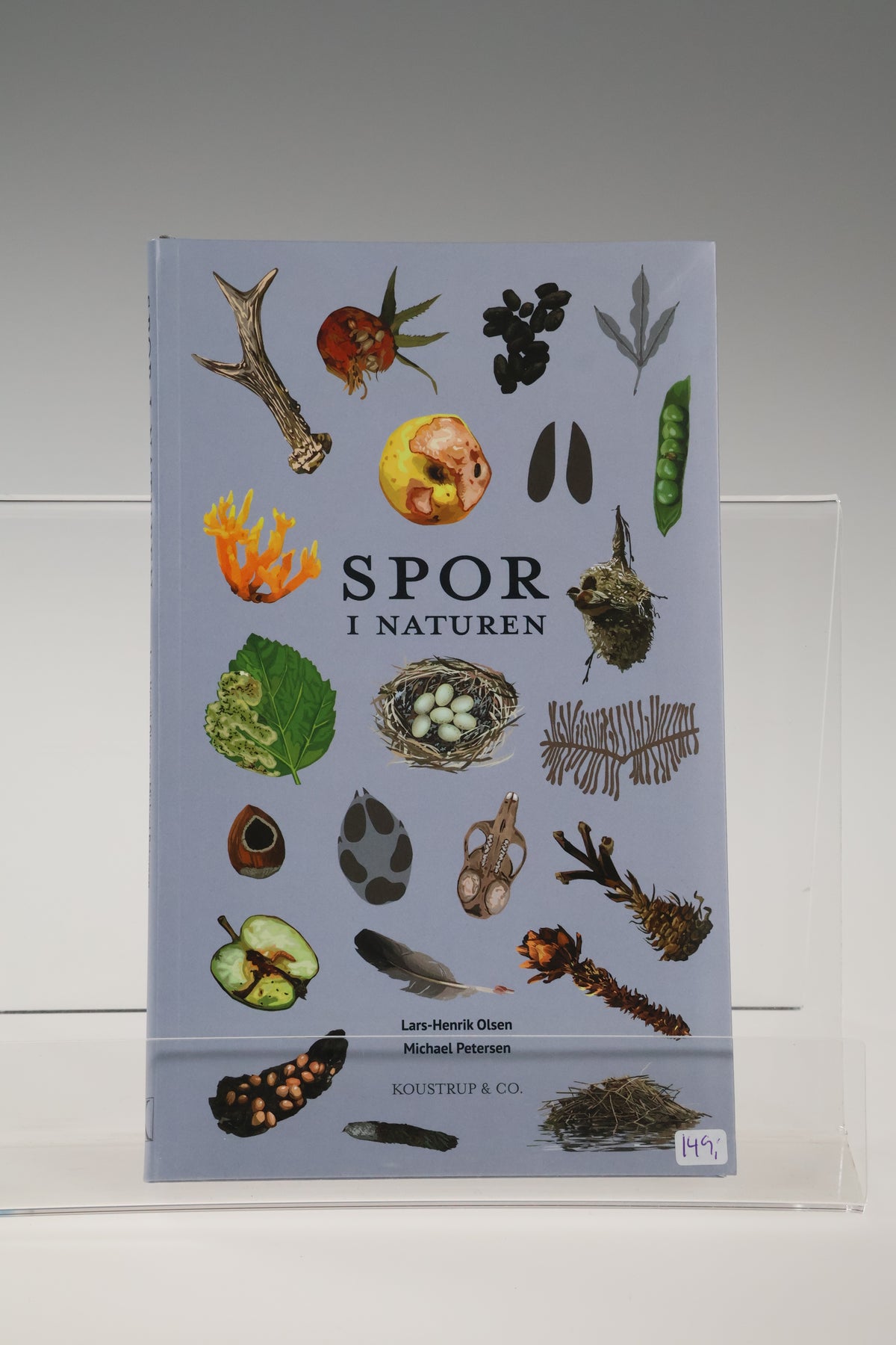 Spor i naturen