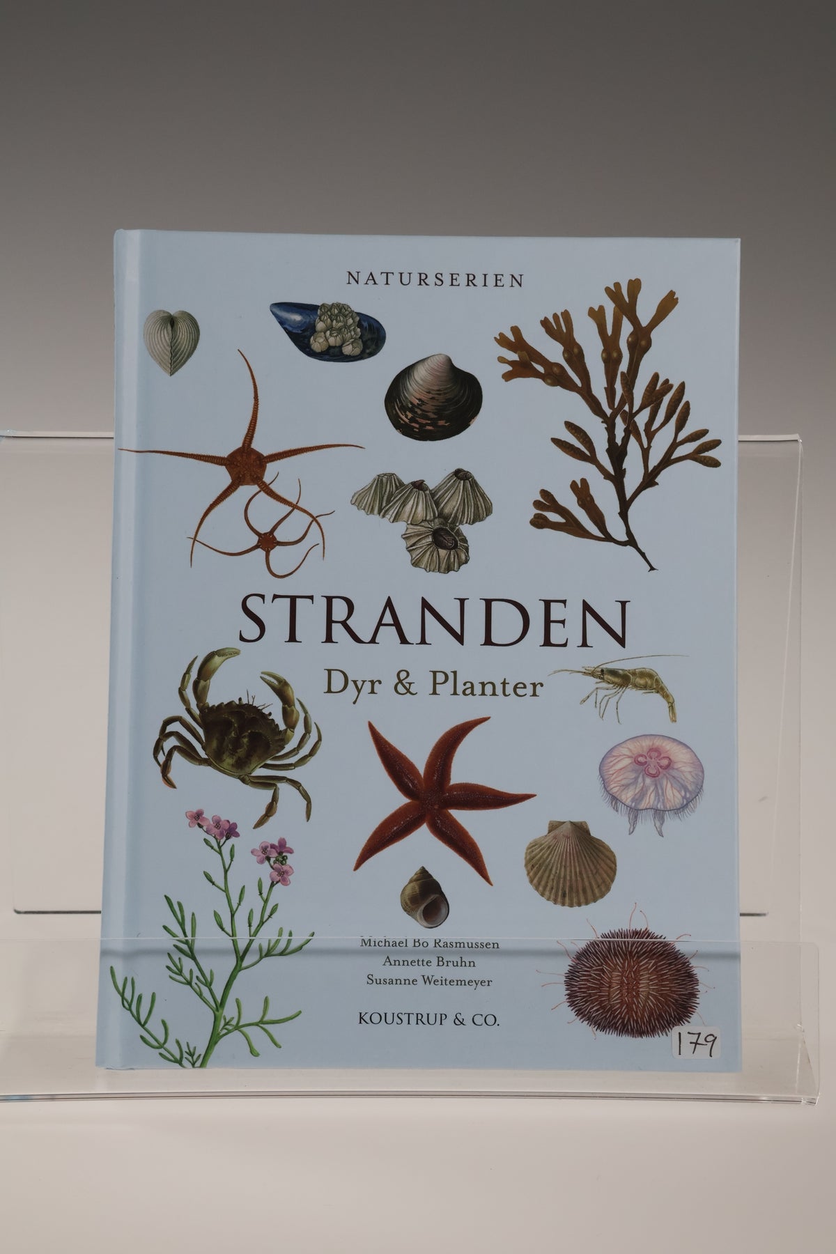 Stranden - Dyr & Planter