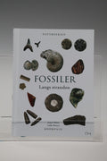 Fossiler Langs stranden