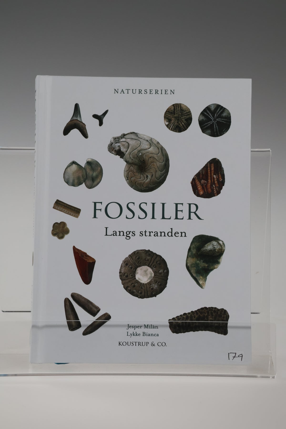Fossiler Langs stranden