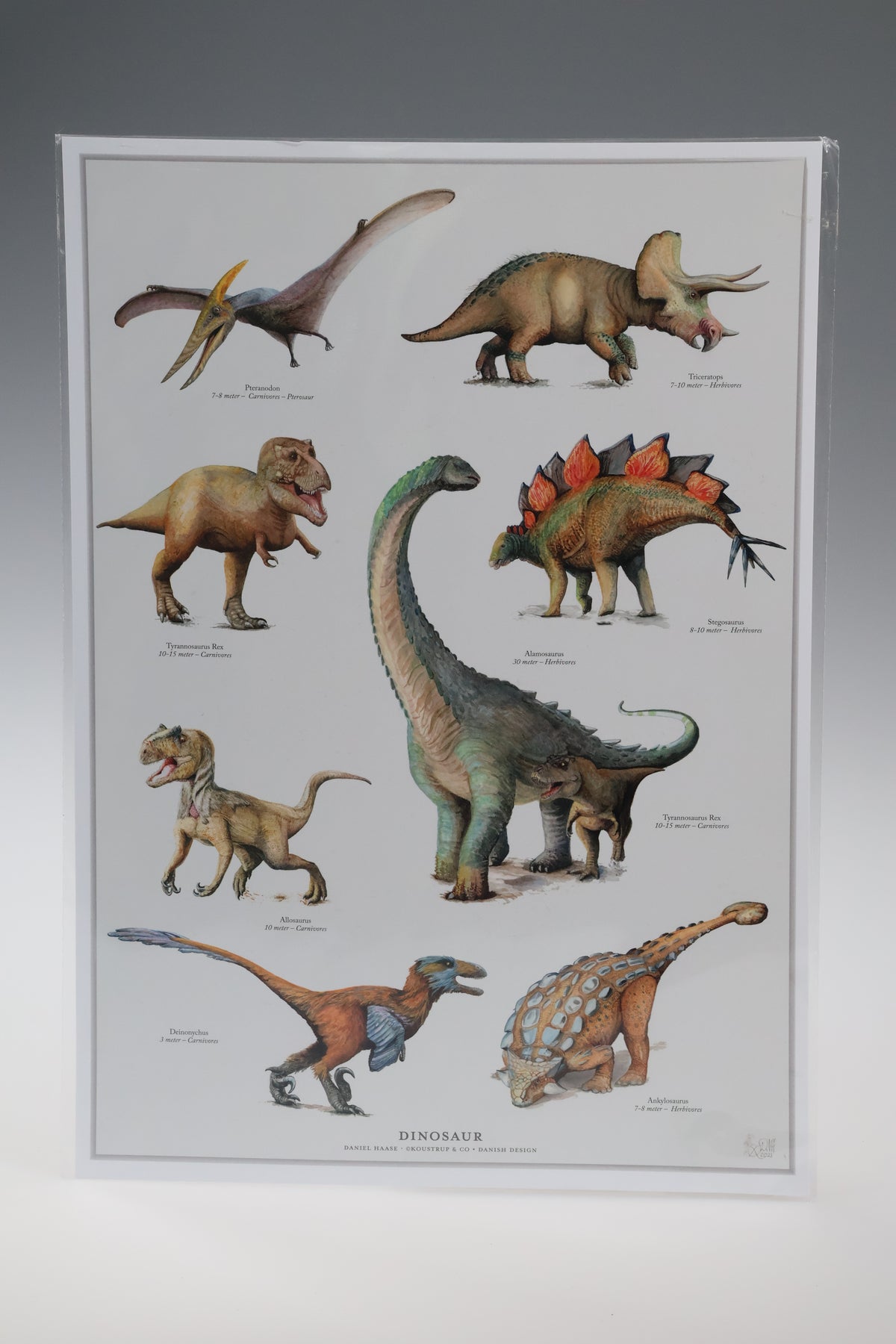 Dinosaur Plakat A4