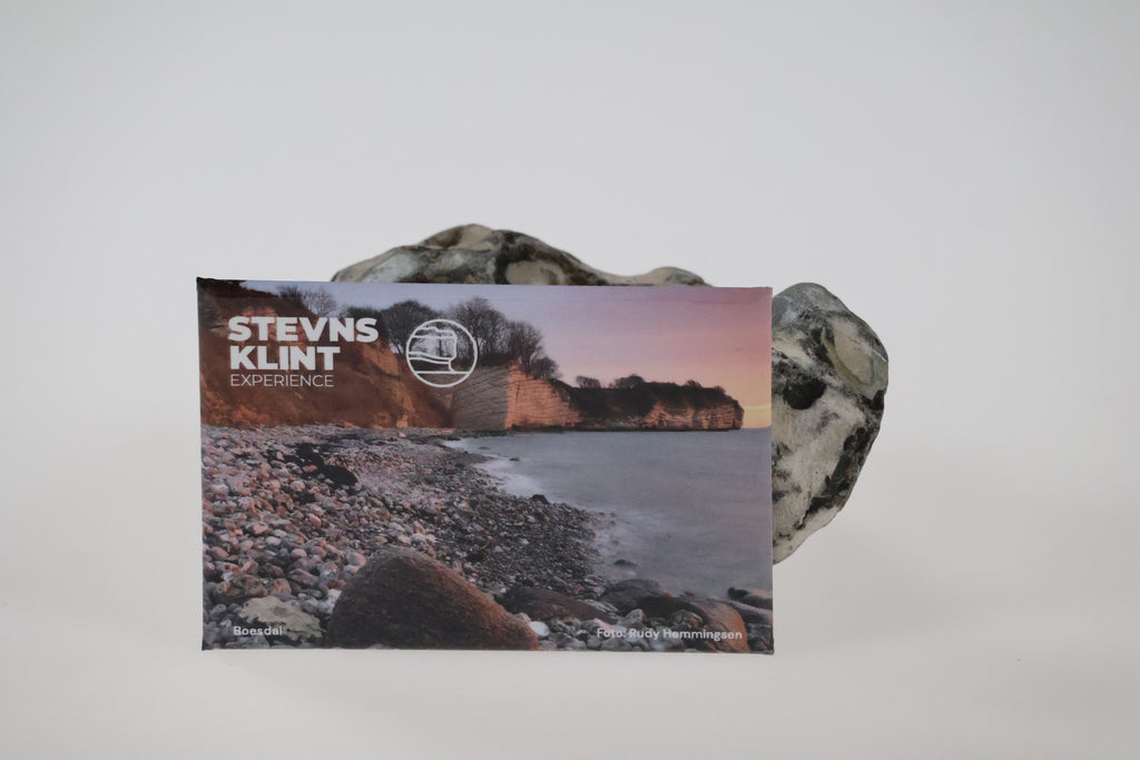 Stevns Klint Experience Magnet 1 stk