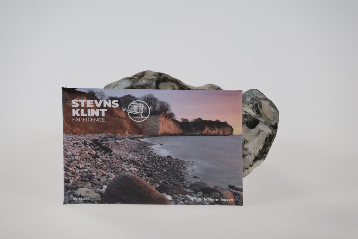 Stevns Klint Experience Magnet 1 stk