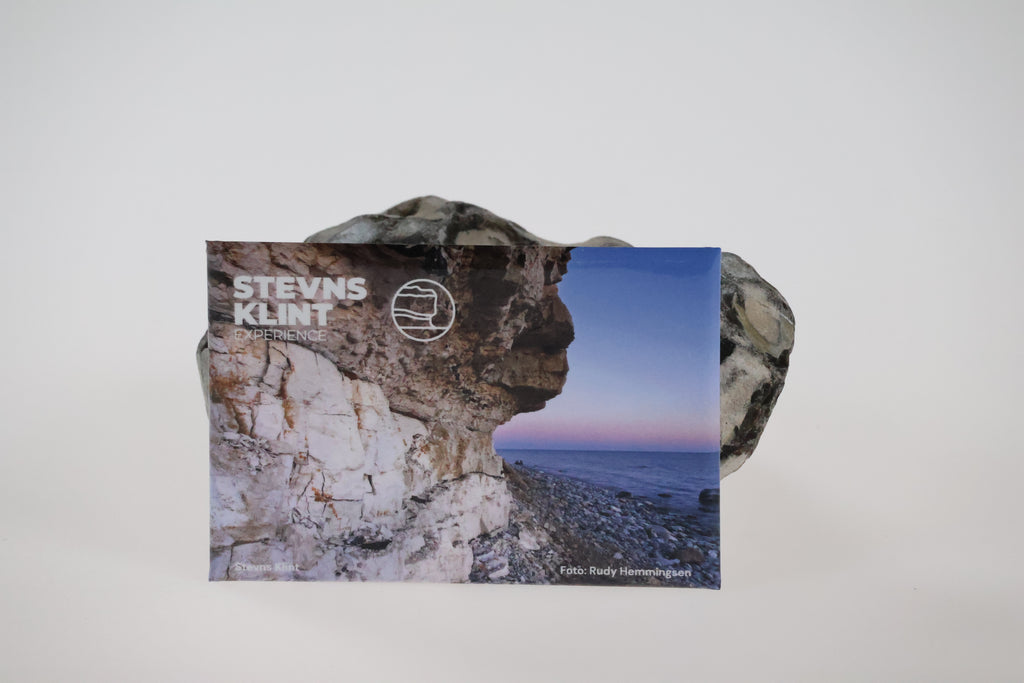 Stevns Klint Experience Magnet 1 stk