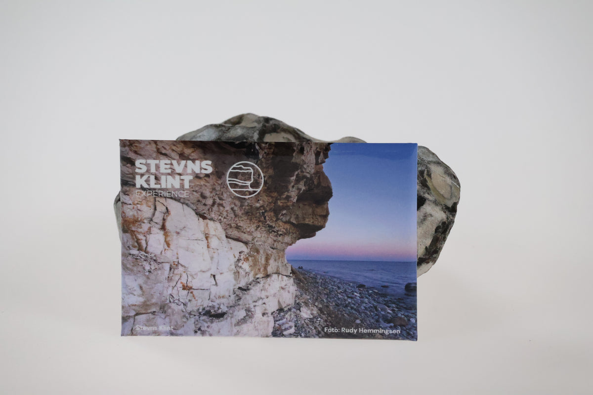 Stevns Klint Experience Magnet 1 stk