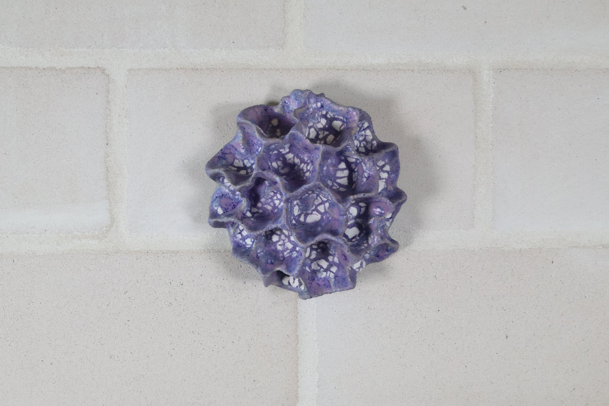 Clay by Bond - #0157 Lila vægkoral