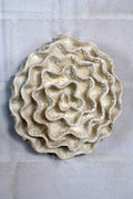 Clay by Bond - #0106 Stor hvid spiral