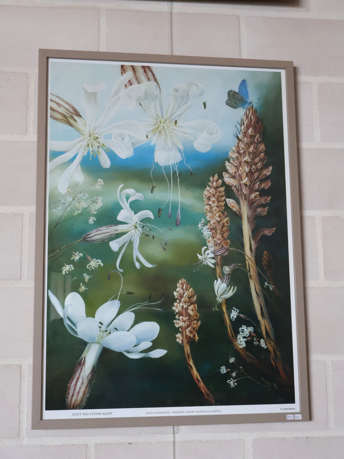 Lykke Bianca Gyvelkvæler plakat