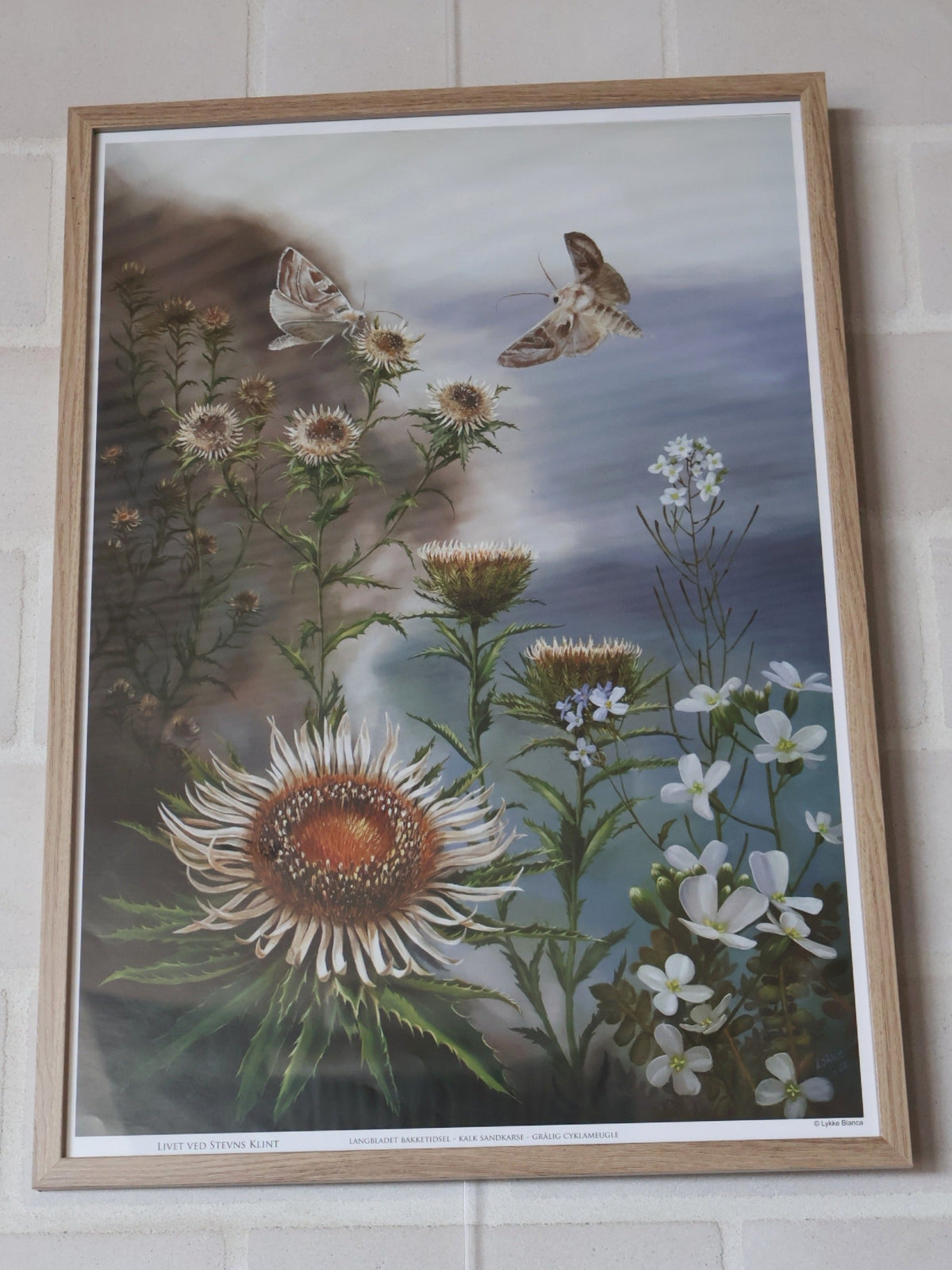Lykke Bianca Langbladet bakketidsel plakat
