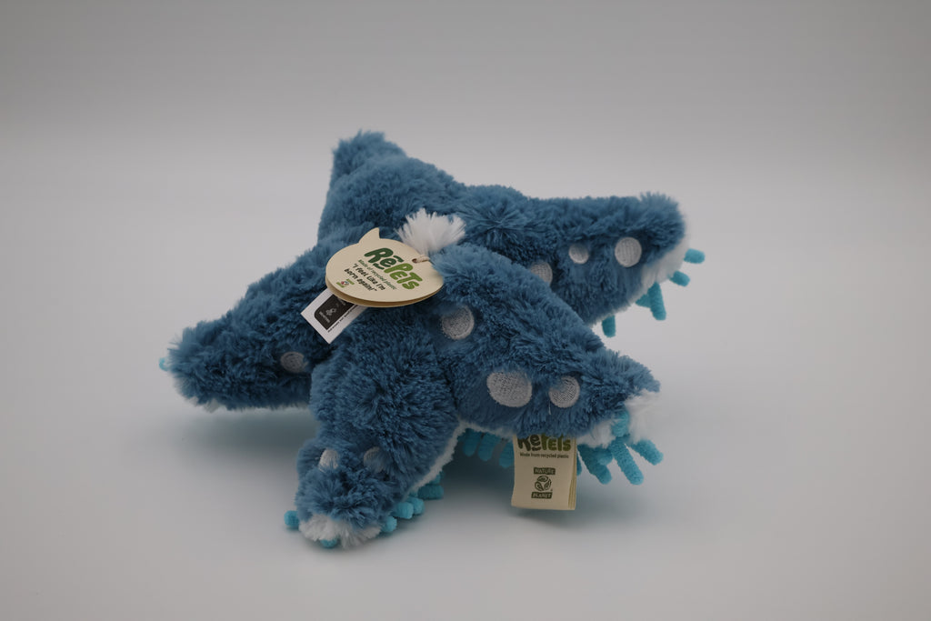 Søstjerne bamse