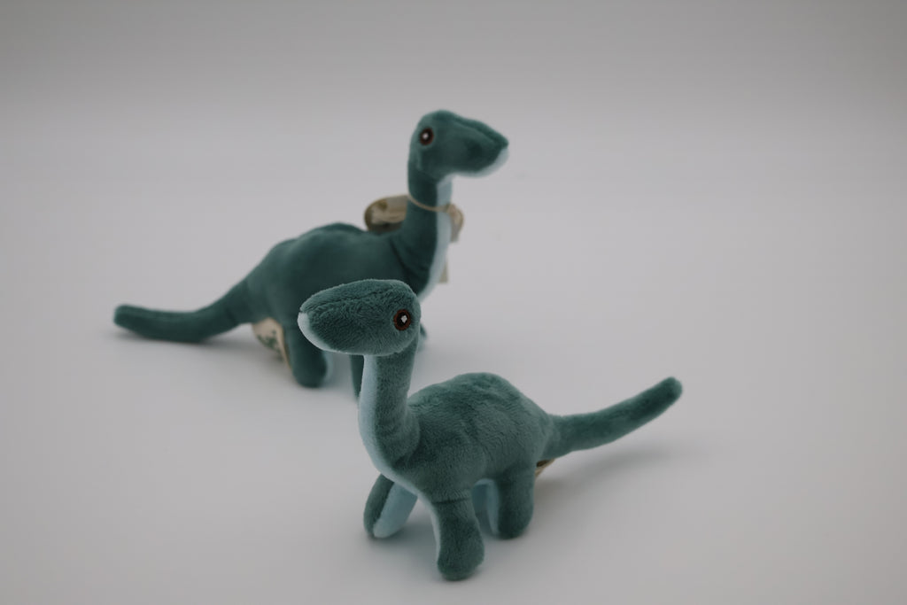Wild beans Diplodocus