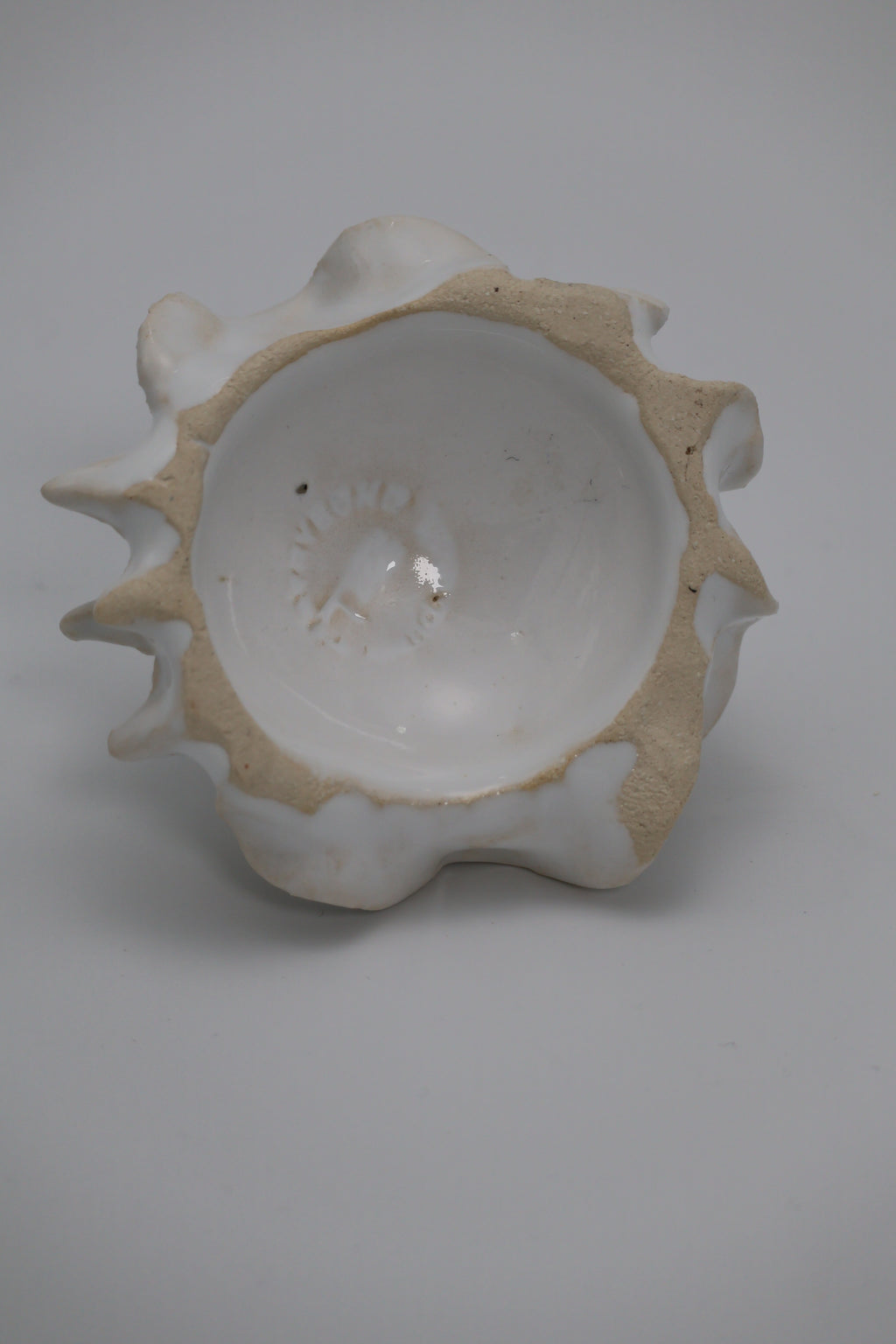 Clay by Bond - #0174 Hvid havvæsen