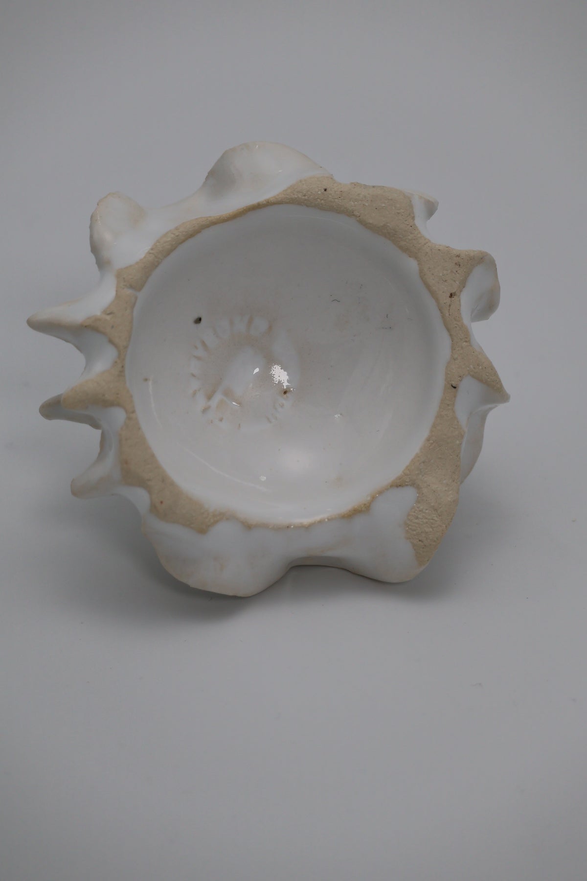 Clay by Bond - #0174 Hvid havvæsen
