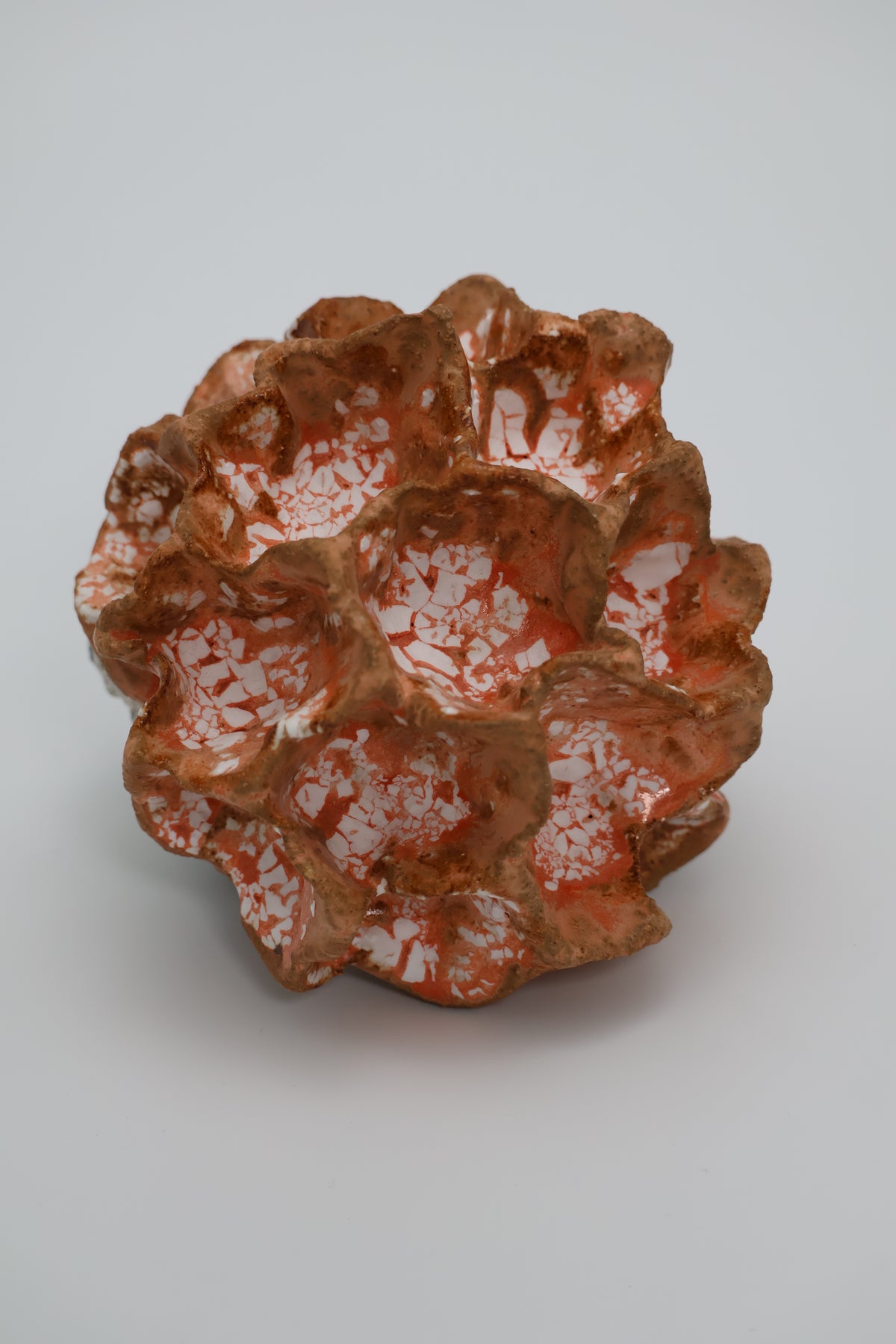 Clay by Bond - #0128  Hvidbrunrosa