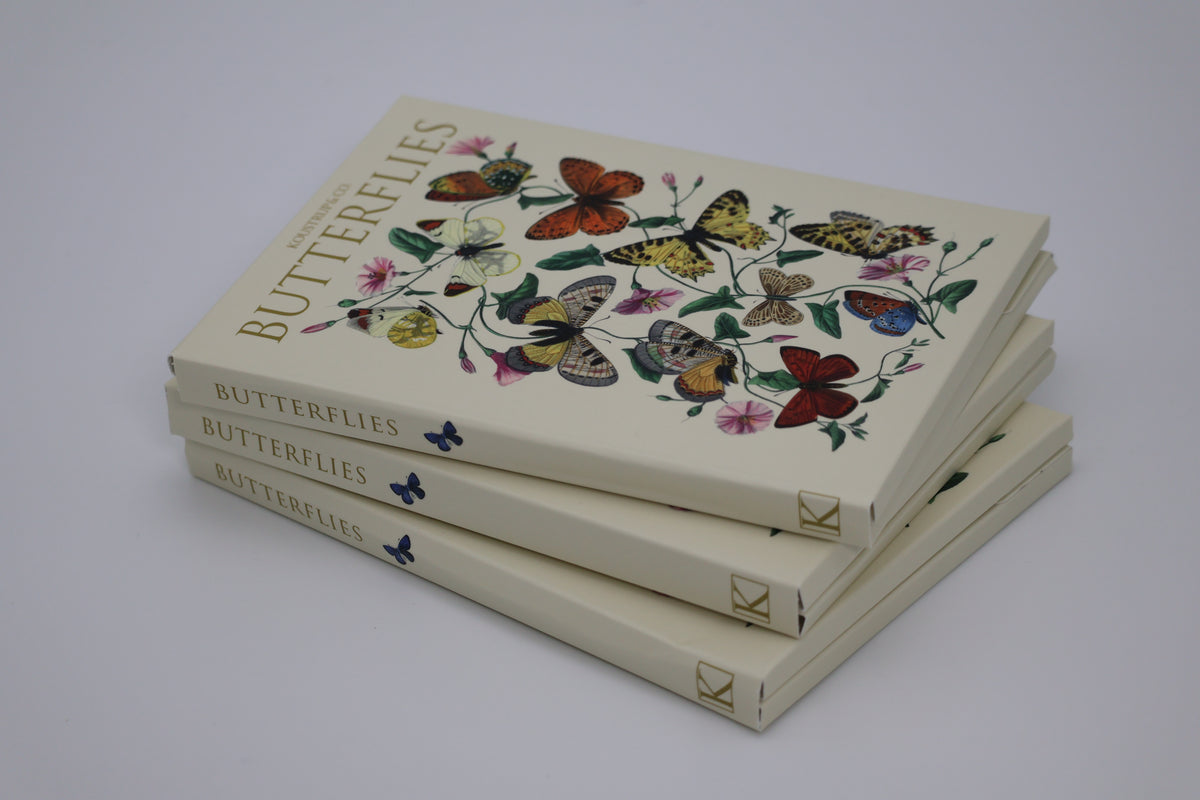Kortmappe Butterflies 8 kort
