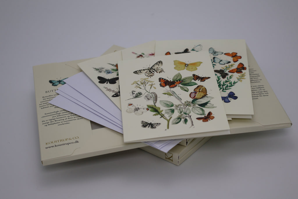 Kortmappe Butterflies 8 kort
