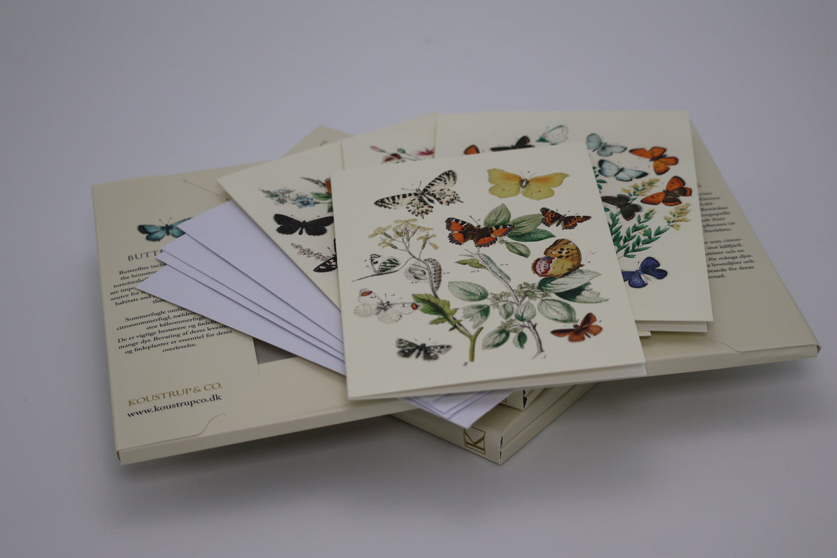 Kortmappe Butterflies 8 kort